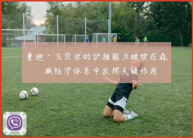 鲁迪·戈贝尔的护框能力继续在森林狼防守体系中发挥关键作用